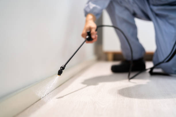 Bed Bug Pre-Treatment Preparation Assessment in Eastpointe
